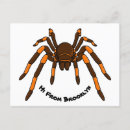 Search for tarantulas postcards Creepy