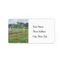 Search for bluebonnet return address labels Wildflowers