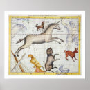 Search for thornhill posters Zodiac
