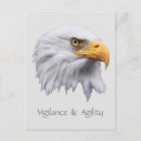Search for agility postcards Animal