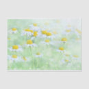 Search for daisies tissue paper Bloom