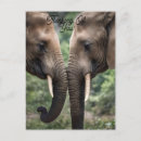 Search for gentleness postcards Cute