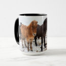 Search for winter horses mugs Snow