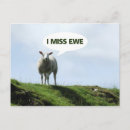 Search for funny sheep postcards Animal