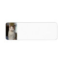 Search for calico cat return address labels Kitty