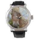 Search for stride Horse