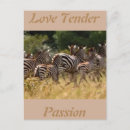 Search for tender cards White