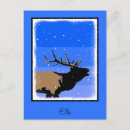Search for elk in snow postcards Antlers
