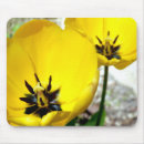 Search for yellow tulips electronics Easter