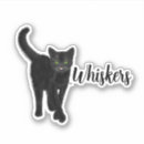 Search for cats eye stickers Fun