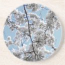 Search for springtime coasters Floral