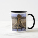 Search for giraffa camelopardalis mugs Africa