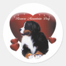 Search for berner stickers Puppy