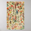 Search for vintage flower posters Plant