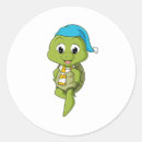 Search for turlte Turtle