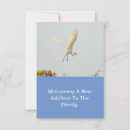 Search for fly rsvp cards White