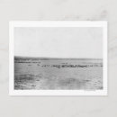 Search for distant postcards Photograph