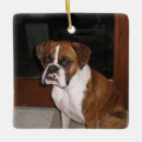 Search for brindle christmas tree decorations Pet