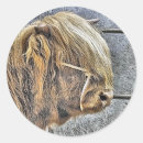 Search for bovine stickers Farm animals