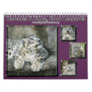 Search for snow leopard calendars Tiger