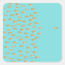 Search for conform stickers Abundance