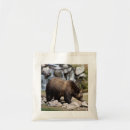 Search for grizzly bear bags Outdoors