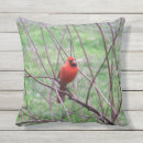 Search for cardinal cushions Red cardinal bird