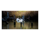 Search for water bird art Egret