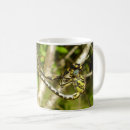 Search for mating mugs Outdoors