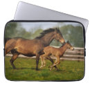 Search for horse bag laptop laptop cases Gallop