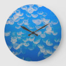 Search for jellyfish clocks Aquarium