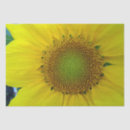 Search for seed tissue paper Botanical