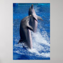 Search for dolphin lover art Fish