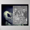 Search for grey parrot posters Animal