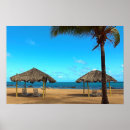 Search for beach huts posters Tropical