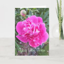 Search for mom get well cards Roses