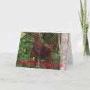Search for wildlife christmas cards Red