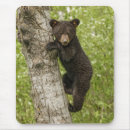 Search for americanus mousepads Cub