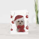 Search for yorkshire terrier christmas cards Yorkies
