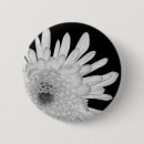 Search for chrysanthemum flowers badges Pretty