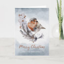 Search for winter robin christmas cards Elegant
