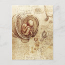 Search for foetus postcards Embryo