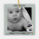 Search for arctic christmas tree decorations Nature