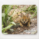 Search for greeting or mousepads Halloween