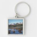 Search for predator key rings Wildlife