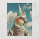 Search for bird pet cards Funny animals