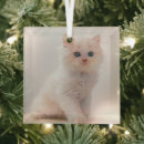 Search for eye glasses christmas tree decorations Animal