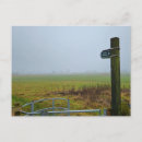 Search for cold winter postcards Nature