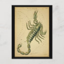 Search for scorpio postcards Astronomy