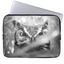 Search for bird s eye electronics Owl eyes